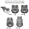 SILLA EVOLUTIVACOLOR GRIS