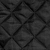 10043 Negro